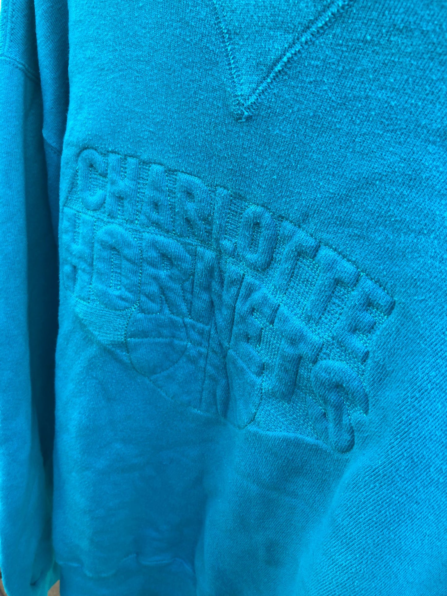 champion charlotte hornets crewneck - Liffey Vintage